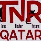 TNR Qatar is a volunteer organisation promoting TNR (Trap Neuter Return), the humane solution to the cat overpopulation problem, saving cats lives