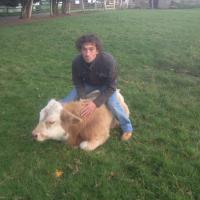 cabre jerome (@cabrejerome) 's Twitter Profile
