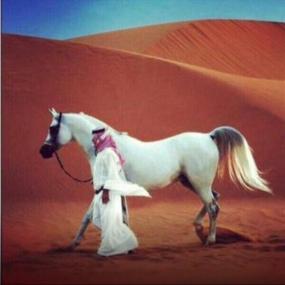 سبحان الله وبحمده سبحان الله العظيم
