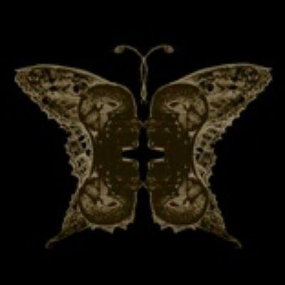 The_Jason11's profile picture. started a group of friends with 5 others turned into my family. self-made inheritance followed by being used. international business man. 6 employees. ride out