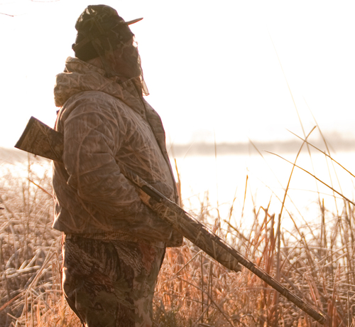 marklandberg's profile picture. 