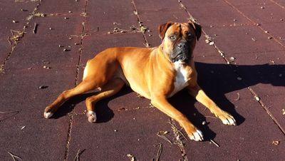 97agvAroa's profile picture. 