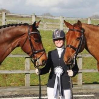 Dressage and Sports horses from top bloodlines we are the source! UK, Germany, Holland & Belgium