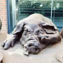 Jerry Vuong - @jdvuong - Twitter