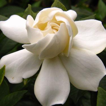 baha_dmour's profile picture. 