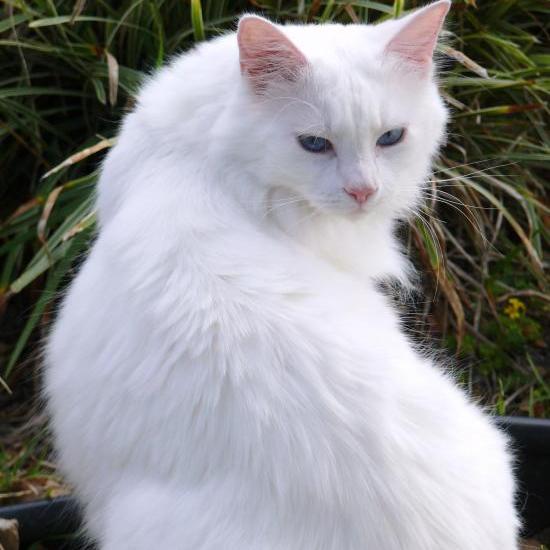 Cudos_X3's profile picture. 