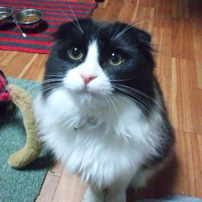 猛スピードで修理ができます！