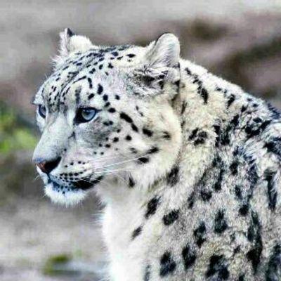 الحياة مستمرة بحلوها ومرها فعشها فكل شي مكتوب من قبل حياتك