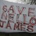 Nello James (@savenelloj) Twitter profile photo