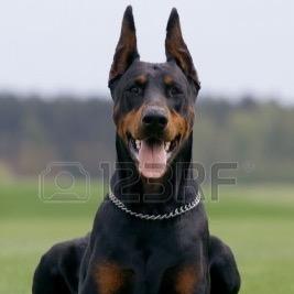 vinvin1915's profile picture. 