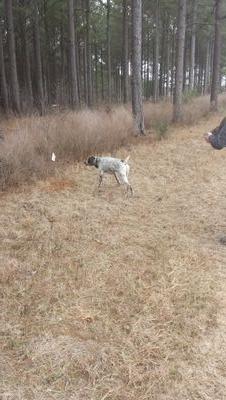 drbubba99's profile picture. 