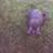 Sax_Blue's profile image