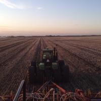 Jody (@jcsptl) 's Twitter Profile