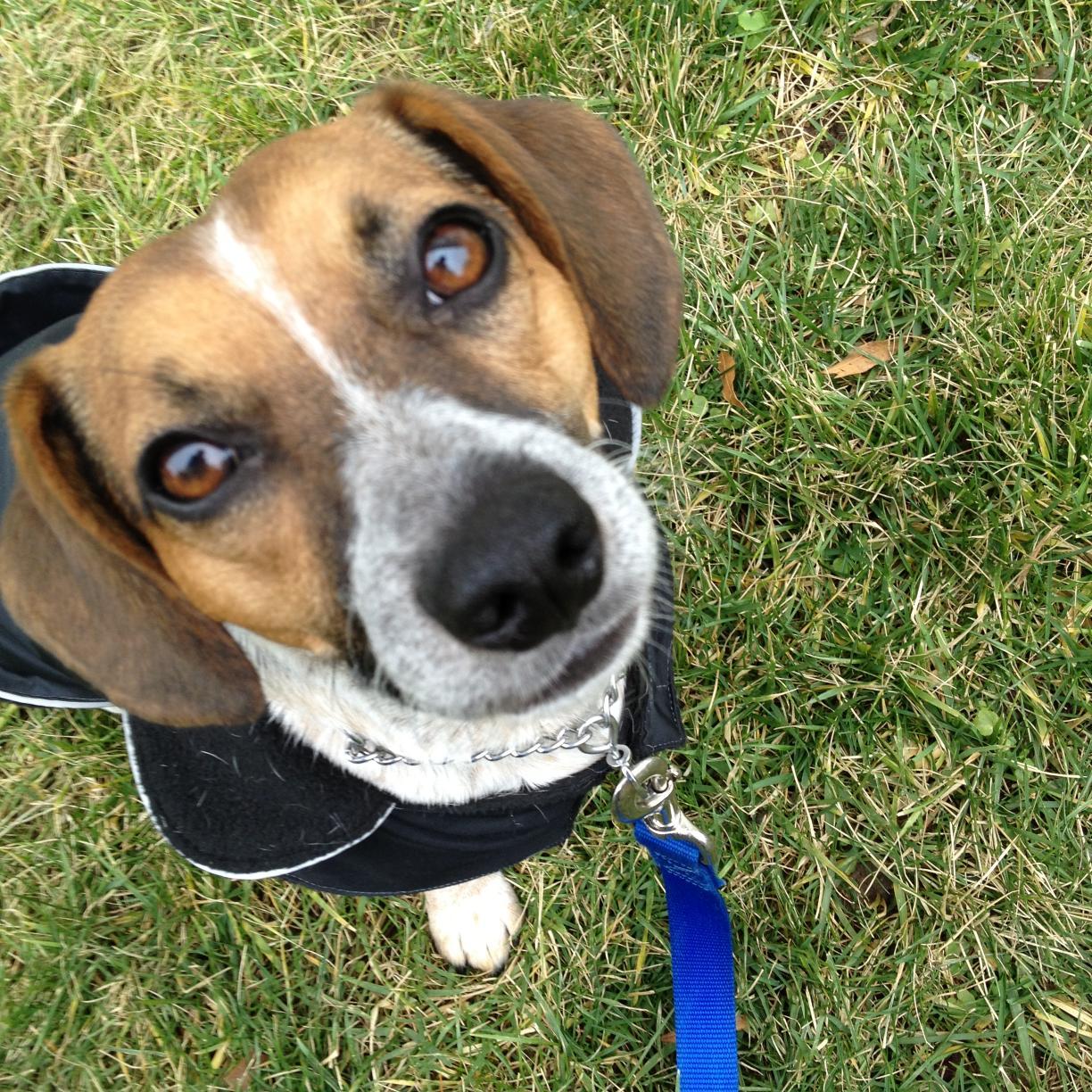 melissablichter's profile picture. 