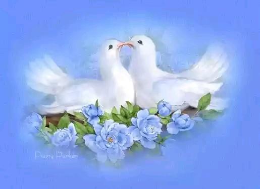 ole_musei's profile picture. 