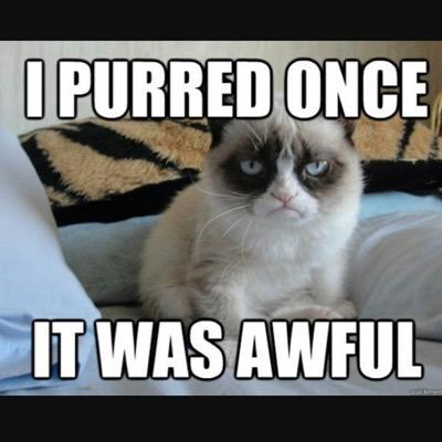 Follow for fun and I follow back!