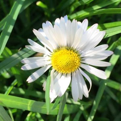 eambrosoli's profile picture. 