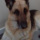 Malcolm Salter - @JacksalterM - Twitter