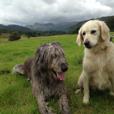 LawtonCatherine's profile picture. 