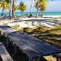 Raul Ferro (@raulferro) 's Twitter Profile