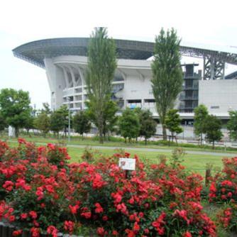 レッズローズ 浦和のバラ Urawa No Hana Twitter レッズローズ 浦和のバラ Urawa No Hana Twitter