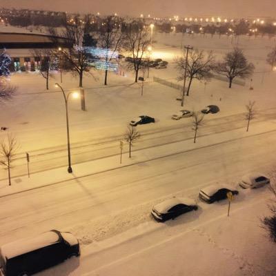 williamlou201's profile picture. 