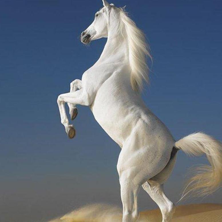 IDENTIFY_this's profile picture. Ever wondered what you're looking at but not sure what it is? Click the picture from your phone and upload it to ID.this for some little help from our community