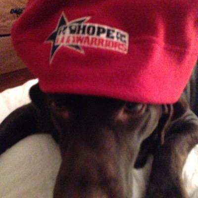 H4WMattB Profile Picture