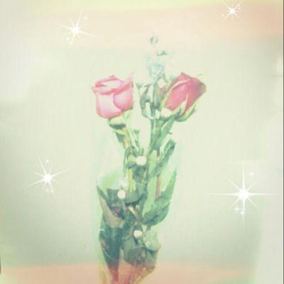 ansetarseyjinu1's profile picture. 