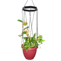 We design and manufacture houseplant/garden products in the U.S. Our unique hanging trellises are now available in two sizes.