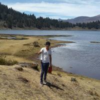Alejandro Fuentes (@activoaldair) 's Twitter Profile