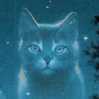 hello young one welcome to starclan we have many things to tell you {former leader of monnclan} kits @spottedfire246 NEW leader is @silver_feather1 -0 lives-