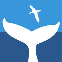 ShearwaterExcursions (@shearwaterexc) 's Twitter Profile