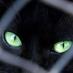 Yu.ma. (@blackcherrycat_) Twitter profile photo Yu.ma. (@blackcherrycat_) Twitter profile photo