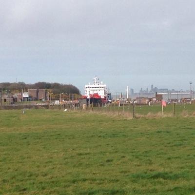 Ellisrandy's profile picture. 