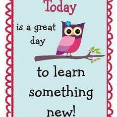 Class8Millbrook's profile picture. In our classroom we celebrate each other's successes. We learn from our mistakes. We respect each other. We are a team that tries our best at all times.