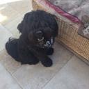 Janice dunn - @dunnjanmikel - Twitter