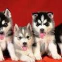 jackie pendleton - @FresnoJackie - Twitter