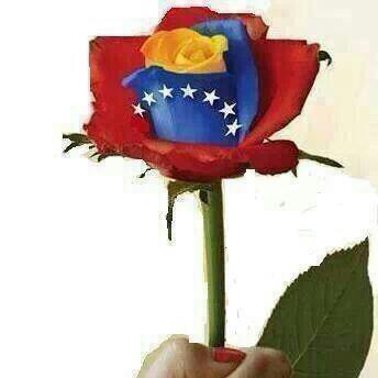 Venezolana, caraqueña, católica, demócrata convencida que los buenos somos mas. Dios está con nosotros 🇻🇪🙏