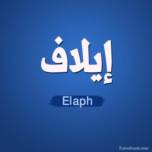 alaaghannam90's profile picture. 