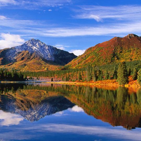 AlskaICITO's profile picture. Alaska