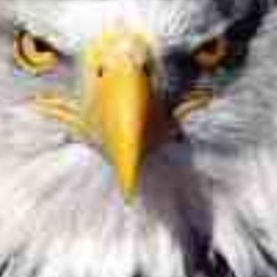 AMERICA #GodBless