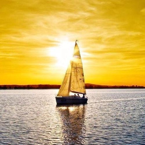 SkazheniyKhaak's profile picture. Нескінченне ом-ном-ном.