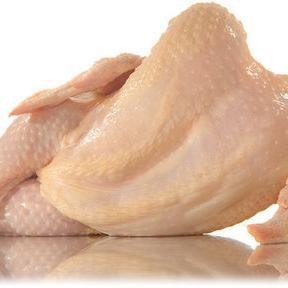 drug taker, bread baker, spectator, big fat chicken