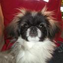 Stanley Manson - @nofaithingod - Twitter