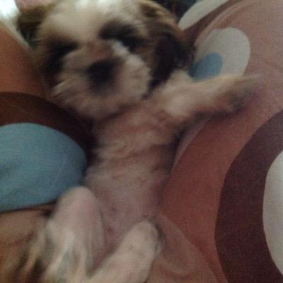 mara_lav's profile picture. 