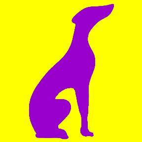 Martingale Dog Collars Handmade. Worldwide shipping. https://t.co/OfYphQ9kjz
