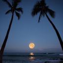 Sara Hazel - @zebralover3143 - Twitter