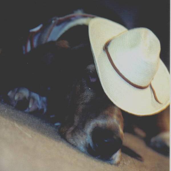 buford29's profile picture. 