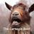 CarnegieGoat's profile image